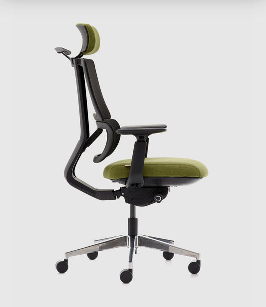 IAN Task Chairs